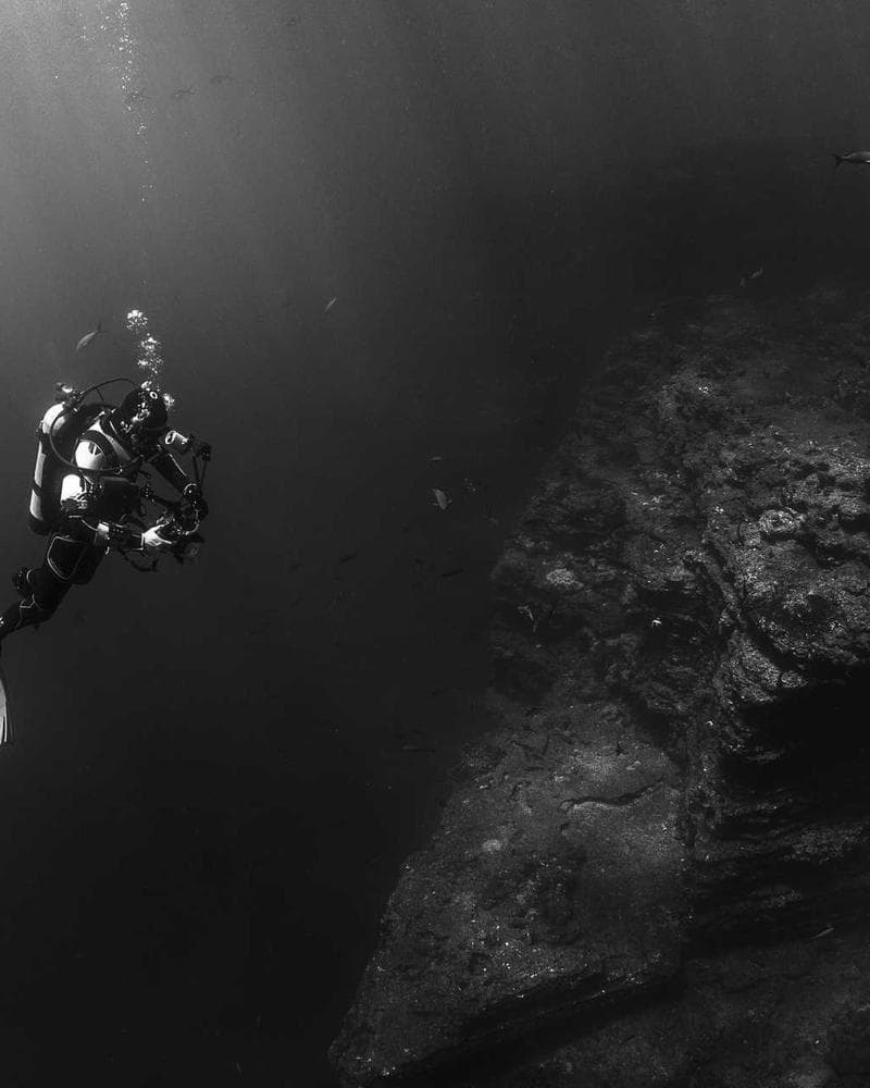 Global education consulting environment